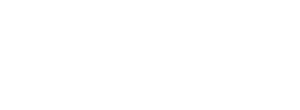 lead inclusively logo - white - transparent png